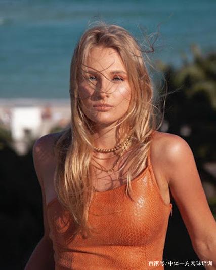 刺客类英雄 刺客类英雄