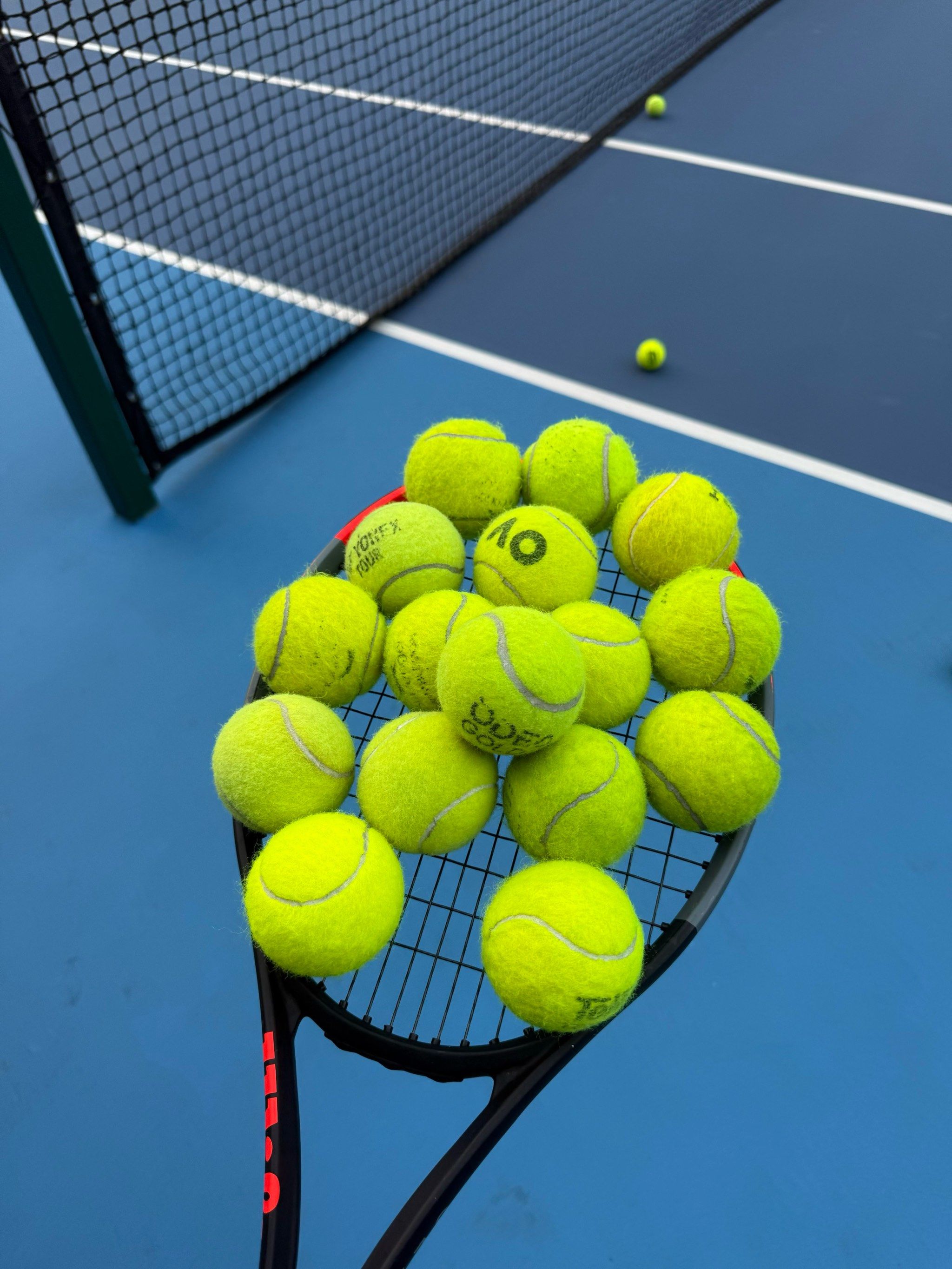 球员也需要 球员也需要